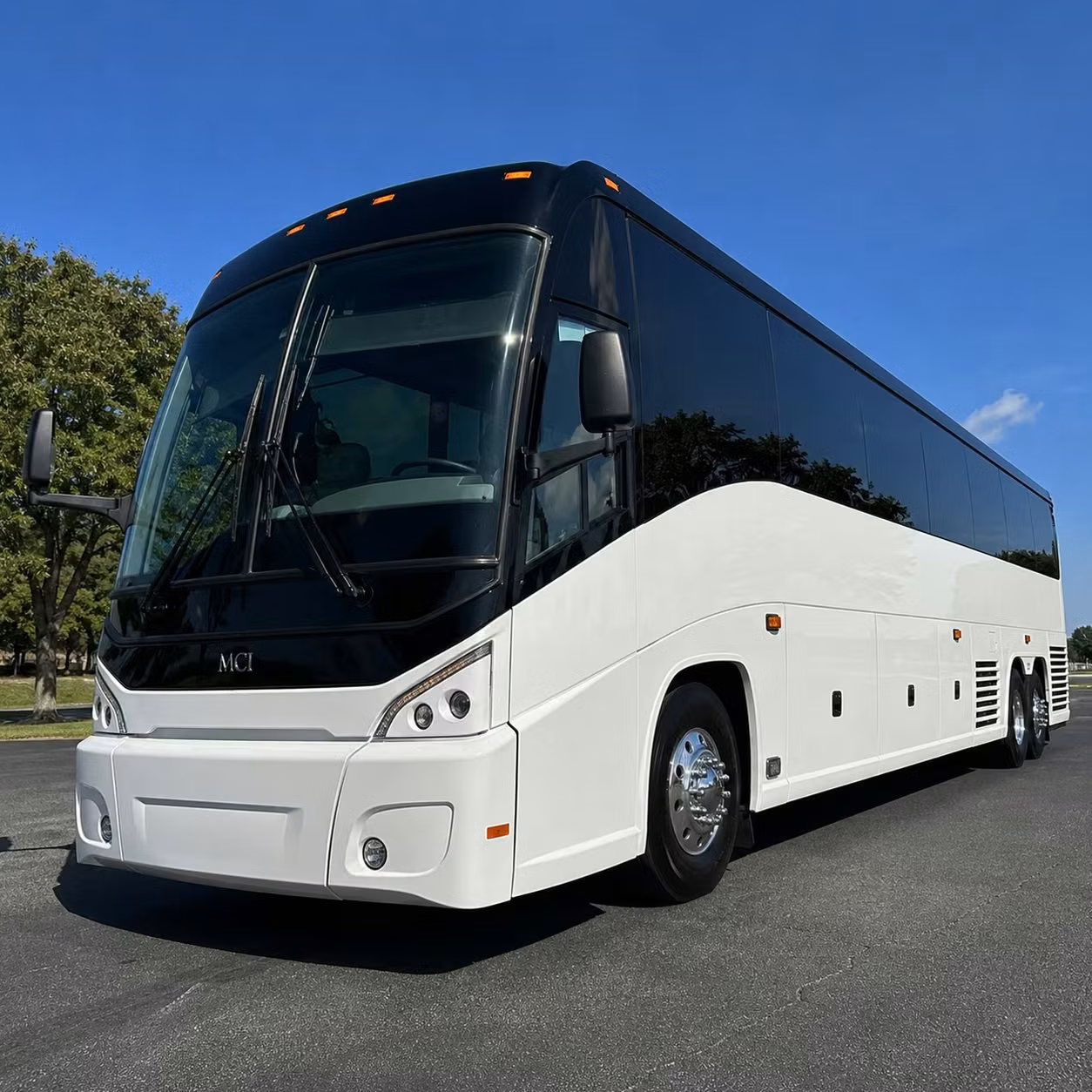 virginia beach sports teams and fan groups long distance travel done right